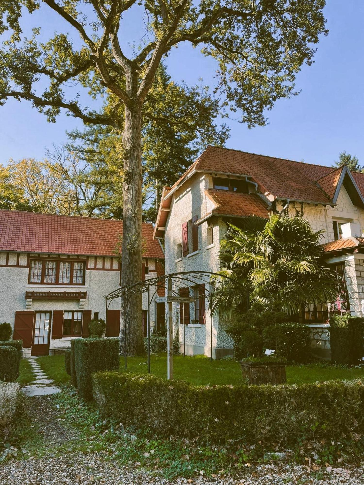 Du Lys Lamorlaye